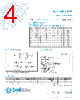 5TTP2-R Datasheet HTML 4Page - Bel Fuse Inc. 